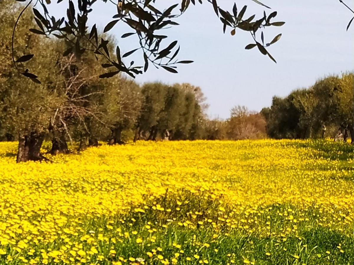 Masseria - Trulli Genius Loci Dimore 莫诺波利 外观 照片